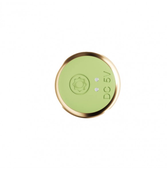 MizzZee - Green Screen Tent Wireless Control Anal Plug (Support APP Mini Programs - Chargeable)